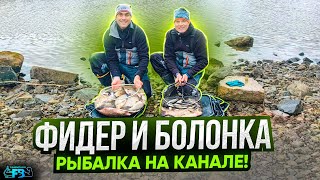 Болонка и фидер на Канале! Открытие сезона, лещи и плотва не дают скучать!