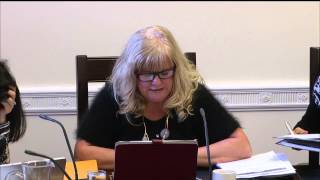 Health, Social Services and Public Safety Committee Meeting 18 March 2015