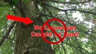 Bigfoot Attack Caught On Tape