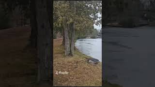 Freezing River & Flowing River on the Same Place in Canada | Glory of Allah | #Shorts