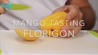 Florigon Mango Tasting - Grown on Pine Island by John Painter - PanTropic.