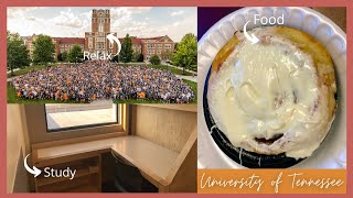 Best Spots on Campus at The University of Tennessee Knoxville: My favorite Places