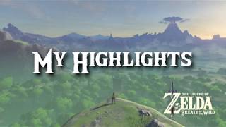 Highlights, Glitches & More! The Legend of Zelda: Breath of the Wild (Spoilers!)