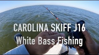 Carolina Skiff J16 White Bass Fishing