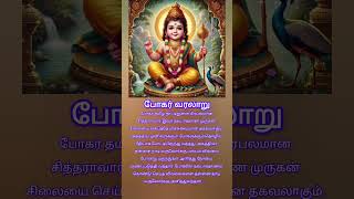 பழனி முருகன் | போகர் வரலாறு | Tamil God Songs | பழம் நீயப்பா ஞானப் பழம் நீயப்பா...