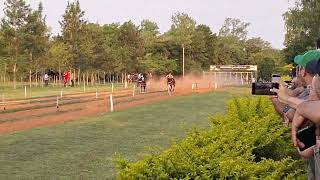 Ágata ganadora en el hipódromo Las Mellizas San Javier Mnes