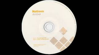 Natious - Amber (Thomas Datt Remix) [Lost Language 2013]