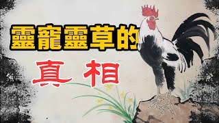 請塊所謂「開光」玉，不如家裏養只活的靈寵！ 靈草 | 積福 | 擋煞 | 聚財 | 旺主 | 鎮宅