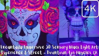 [4K] Encantada Immersive 5D Sensory Black Light Art Experience & Street - Downtown, Los Angeles, CA