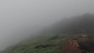 EARLY MORNING HIKE TO MATHERAN_012