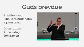 Guds brevdue v/Filip Torp Kildeholm