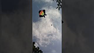 LAYANGAN COTEK RASTA #2024 #layang #kite #layangan #viralvideo #viralshort #viralshorts