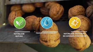 Importaco Walnuts (German)