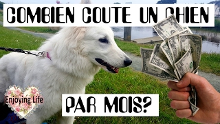 AVOIR UN CHIEN - COMBIEN CA COÛTE PAR MOIS? ✿ Enjoying Life