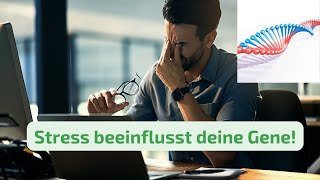 Stressfrei Leben: Einfache Techniken, die auf deine Gene wirken und dich entspannen