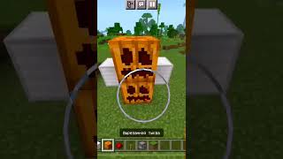 Ue to secret chest ban gai 😱😱 khfrt #ytshorts #minecraft #shortvideo #gaming