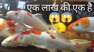 1 लाख की एक मछली देखी क्या 🐠  आइए देखता हु आपको 😍