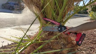 Great for trimming palms #Tomyvic 21v Cordless Electric Handheld Chainsaw Review #founditonamazon