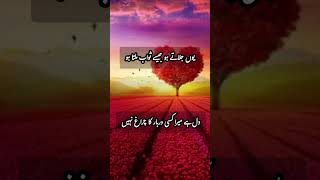 یوں جلاتے ہو جیسے ثواب ملتا ہو Urdu poetry | Urdu sher