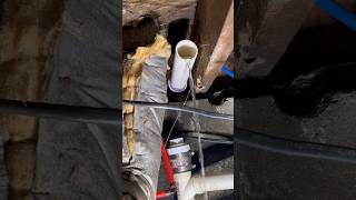 Kitchen sink drains into crawl space for months #plumbing