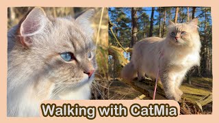 walking with my cat - [CatMia]