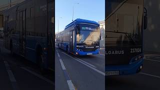 Автобус Volgabus-5270.G4 на 555 маршруте в Адлере.