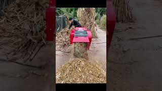 Big automatic feeding grass chopper silage chopper chaff cutter machine #machine #chaffcutter