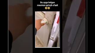 Bu uyga kelgan mexmon qo'rqib o'ladi 🤣🤣🤣#kulgilivideo #shorts #rek #youtubeshorts  #uzbek