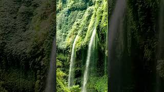 Beautiful nature and water fall #relaxingmusic #nature #waterfall #meditation #meditationmusic