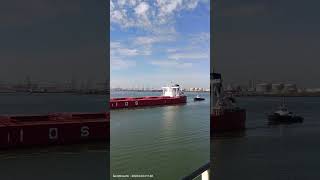 NAVIOS ASTRA Arrival with Tugs @port-of-rotterdam #ship