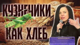 КУЗНЕЧИКИ, КАК ХЛЕБ  ИЛИ ВЕРА БЕЗ ДЕЛ МЕРТВА || SIENĀŽI, KĀ MAIZE VAI TICĪBA BEZ DARBIEM IR MIRUSI