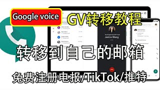 分享Google voice转移教程｜GV分享转移｜GV保号｜GV充值｜Google voice使用免费电话和信息｜GV注册使用，科学上网，打开cc字幕【豌豆分享】