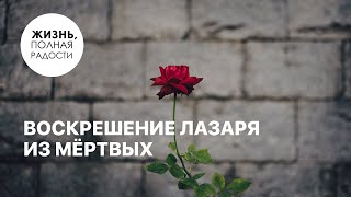 Воскрешение Лазаря из мёртвых | Джойс Майер