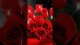 beautiful rose || ai rose flowers ||