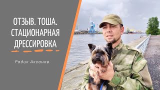 Отзыв. Стационарная дрессировка. Тоша | Радик Аксанов