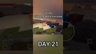 Placing 1 Different Block Everyday - Minecraft [#shorts]