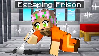 Minecraft PRISON ESCAPE (Maximum Security)