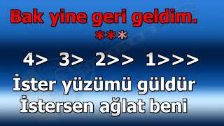 ► SEVMEKTEN KİM USANIR ♫ Rast Şarkı ► KARAOKE