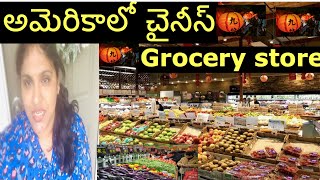 Chinese Grocery Store in USA || Grocery Store in America||Telugu Vlog From USA||Telugu Vlog