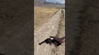 22 long rifle vs expired Steel can