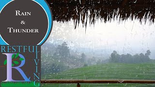 Rain & Thunder Sounds | Heavy Rain to Sleep, Study, or Relax | Background Noise