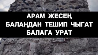 СЕН ТАПКАН НЕРСЕ АДАЛБЫ? БАЛАҢА ЭМНЕ БЕРИП ЖАТАСЫЗ?! МУХАММАД БЕКМИН