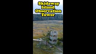 Skidaway Island Observation Tower #shorts