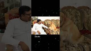 ||Action Speaks more than words ||Fr Pradeep || Animal Love || Dog love|| Communication ||