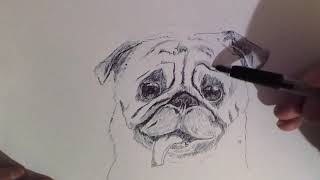 Как нарисовать собаку? - Speed Art - How to draw Mops