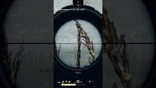 Heard Footsteps In The Fog #pubg #gameplay #games