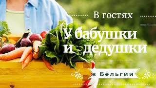 В гостях у бельгийских бабушки и дедушки.