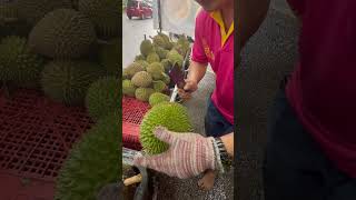 Durian isi padu #ioi