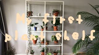 Building and setting up my plant shelf + a plant shelf tour