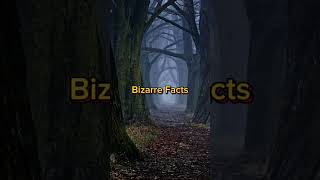 Bizarre Facts.#bizarre #facts #horrorstories #horrorshorts #horrorstory #shorts #fear #foryou #viral